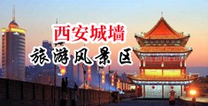 日本女人和黑人操逼中国陕西-西安城墙旅游风景区